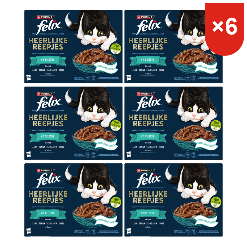 Felix Délicieux filets de poisson en sauce Nourriture humide pour chats*6