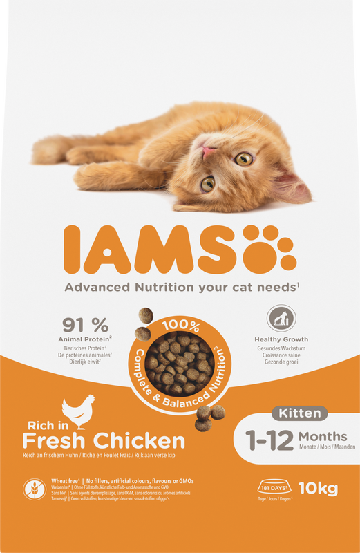 IAMS Kitten/Junior kip 10 kg
