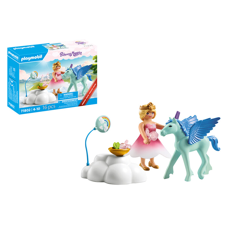 71802 Princess Magic Pegasus Birthday