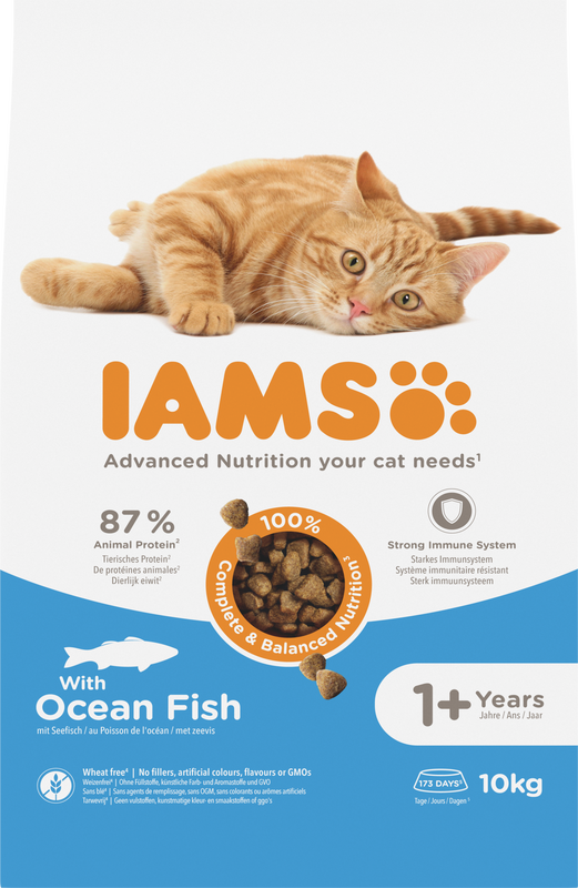 IAMS kattenvoer voor volwassen katten met vis uit de oceaan 10 kg