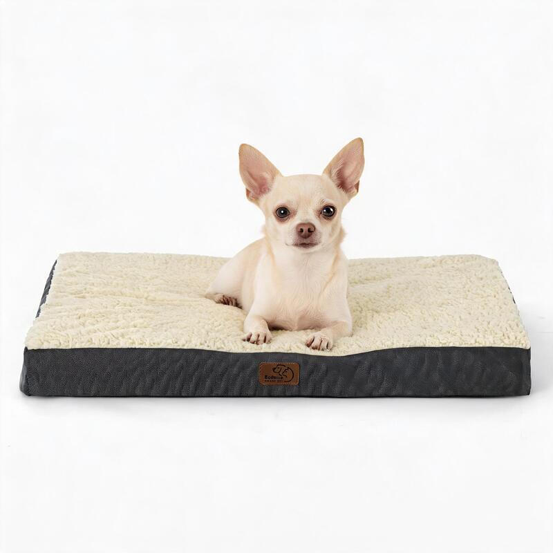 [Nur 9,99 €] Hundekissen, eiförmiger Käfigschaum für kleine, mittlere und große Hunde, orthopädisches Hundebett, gemütlicher Schlafbereich, 75*50 cm, waschbar, Höhe 8 cm, Grau