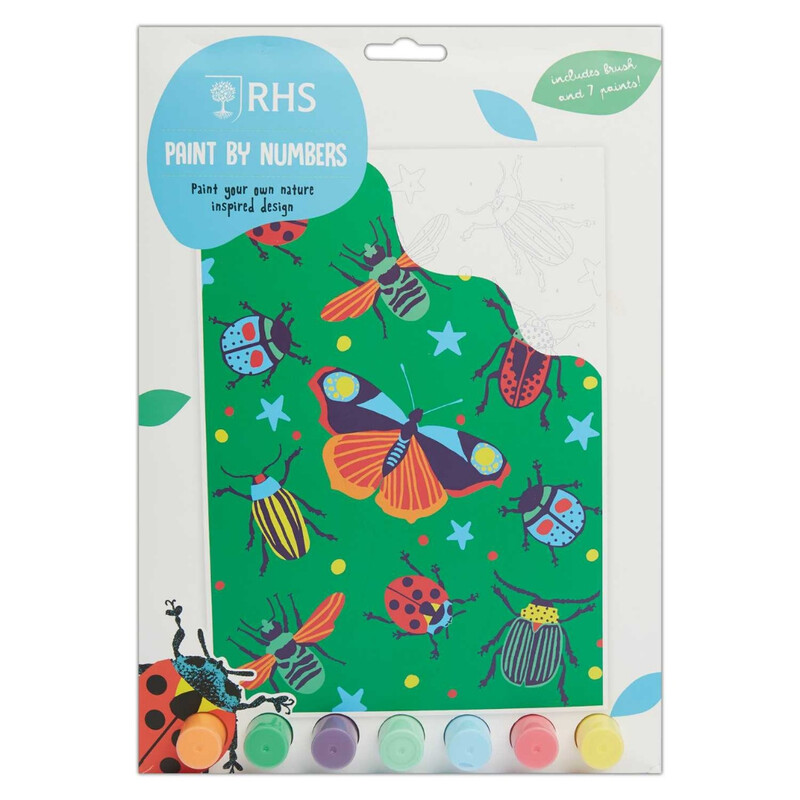 Bugs Paint By Numbers Kit