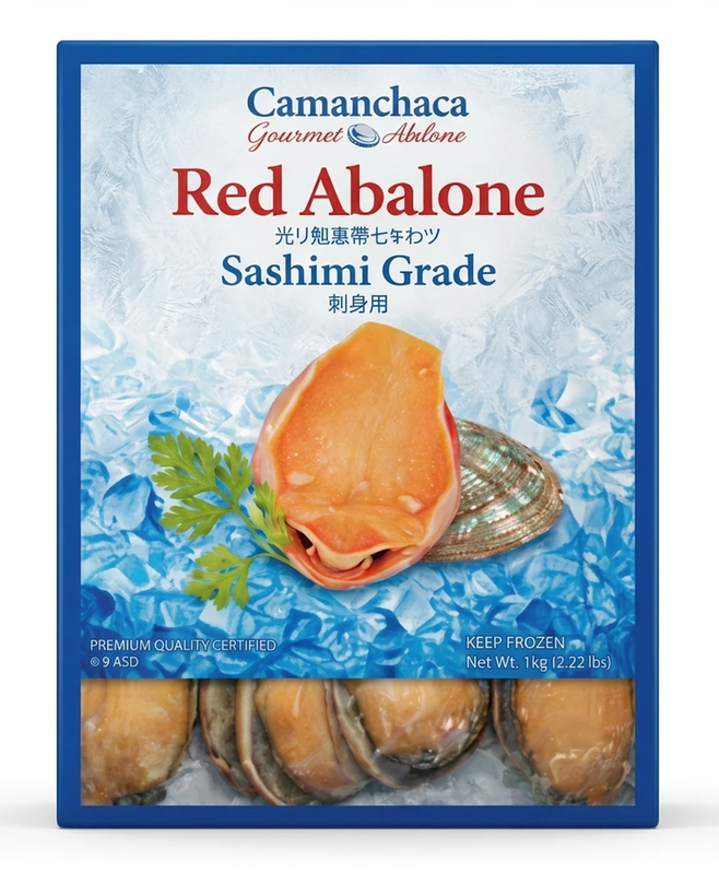 Chili Abalone 6 stuks (sashimi-kwaliteit) - 1 kg