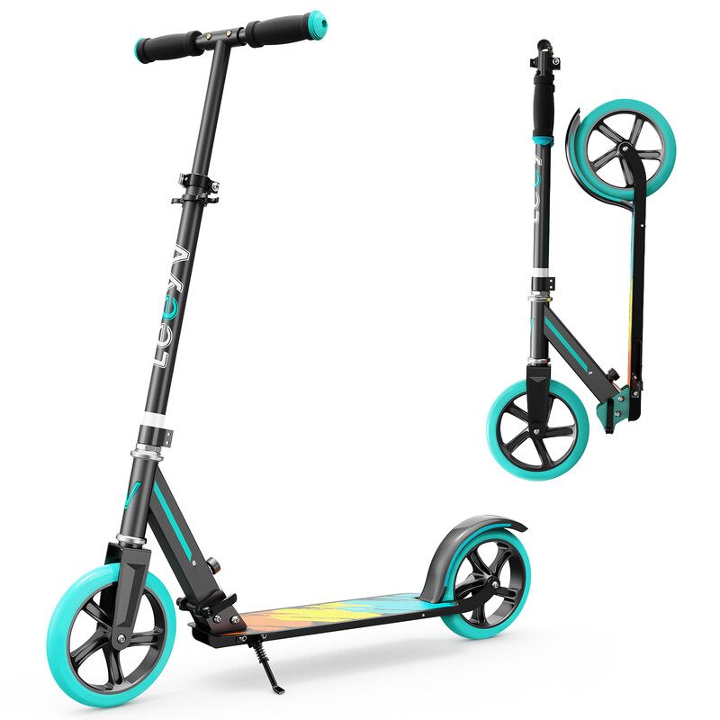 kick-scooter LY205