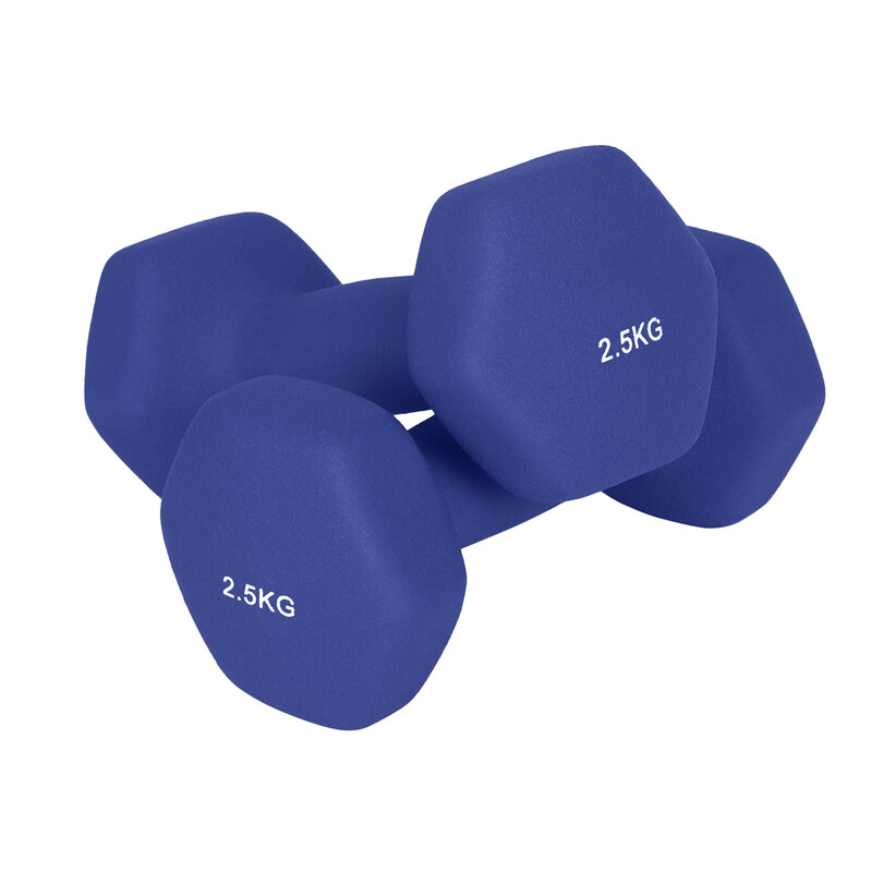 SONGMICSHOME 2 x 2.5 kg Set of 2 Neoprene Dumbbells, for Workout Fitness Harbor Blue