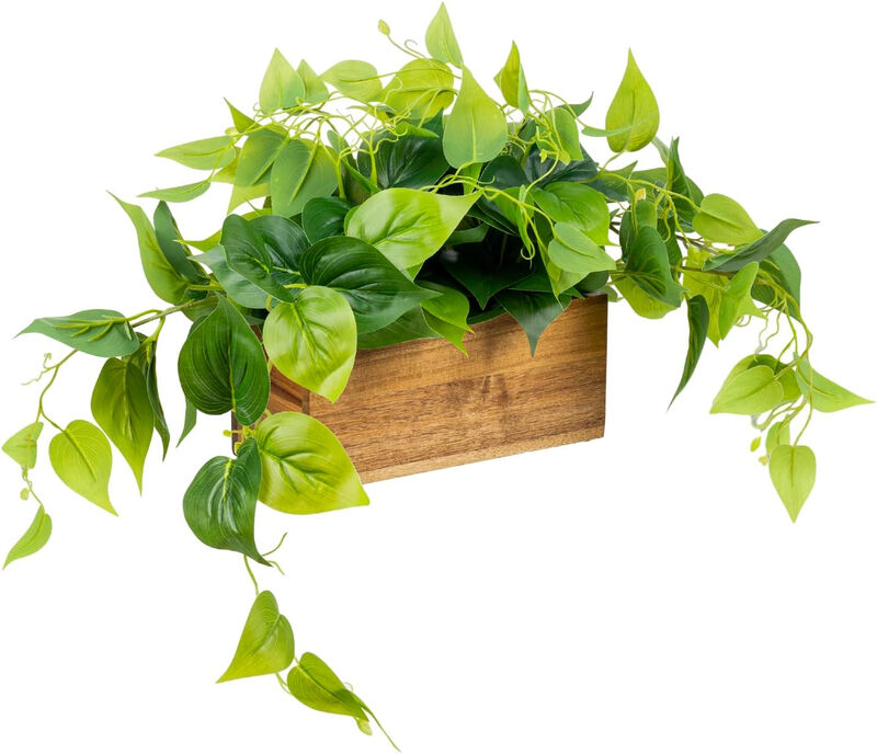 My Gift Lebensechte, lebendige künstliche Pflanze – Pothos, krautige Rankpflanze – in rechteckiger Pflanzbox aus Massivakazienholz in Naturfarbe