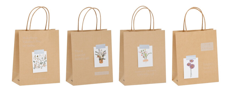 Gift Bags Occasional Kraft Assorted Medium 8pcs