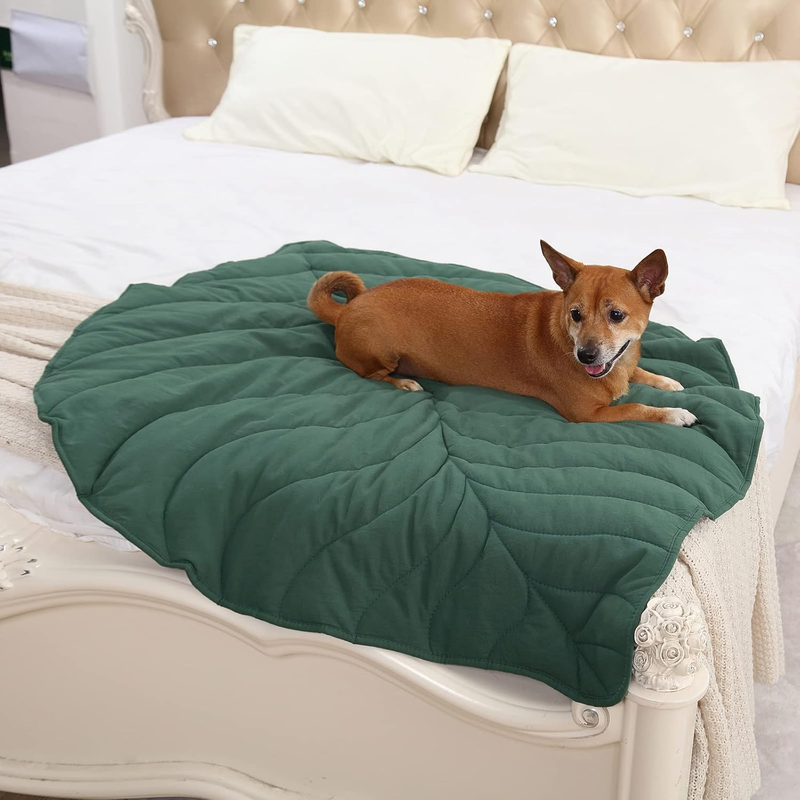 Multi-use Leaf Shape Dog Blanket Green