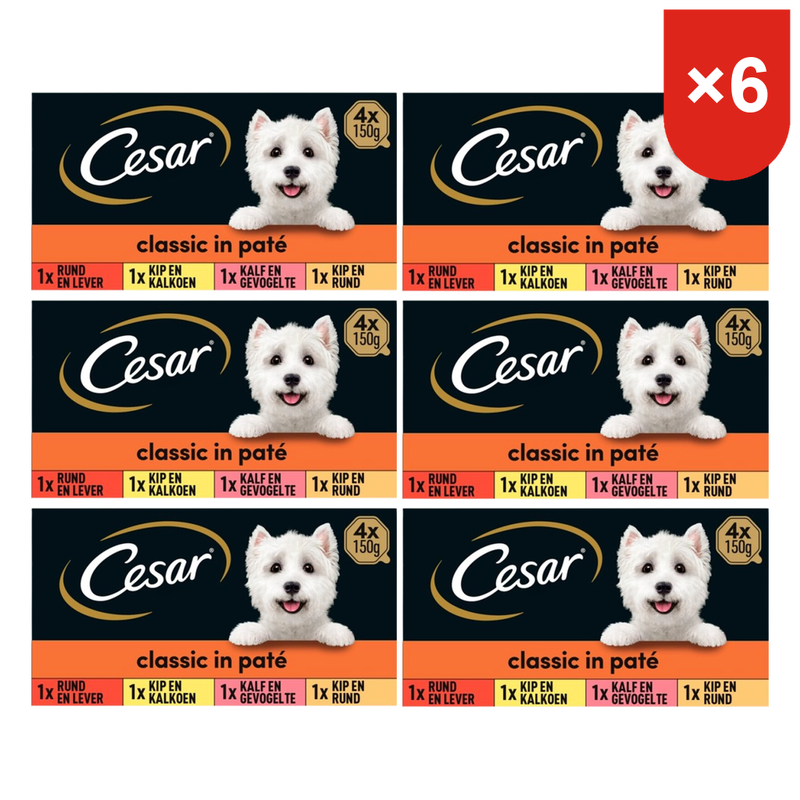 Cesar Nourriture humide pour chien adulte Poulet et dinde, Bœuf et foie, Veau et volaille, Mélange d'agneau et de dinde 4 * 6 = 24 × 150 g
