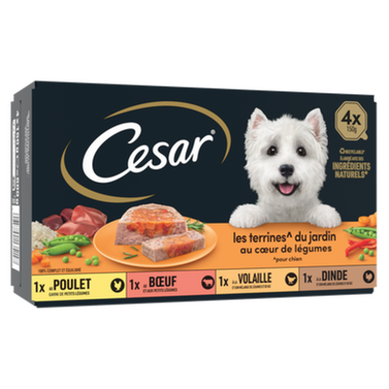Pâtée Pour Chien Terrine Du Jardin Poulet B½uf Volaille Dinde Et Légumes Cesar La Boîte De 4 Barquettes