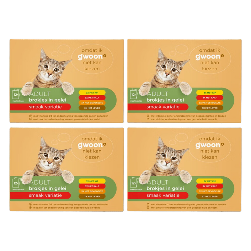 g'woon Mini filet Variété de viande pour chat MP*4