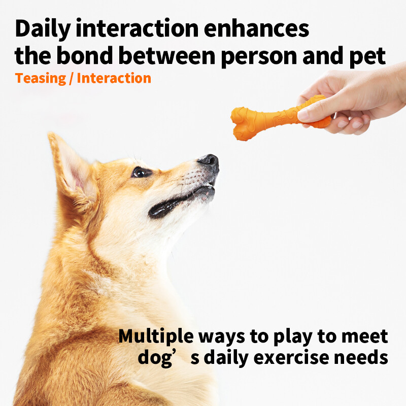 Cheese Bone Chew Toy for Dogs, Durable Latex Toy for Small and Medium Pets, Interacti