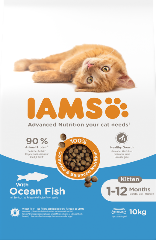 IAMS Kitten Kattenvoer met Oceaanvis 10 kg