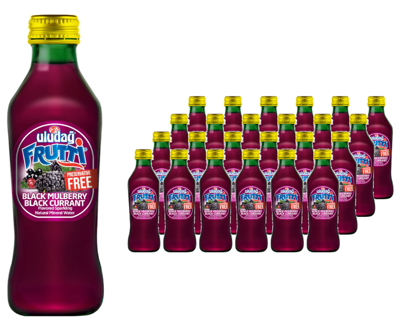 Uludağ Frutti Zwarte Moerbei Frisdrank 24 x 200 ml