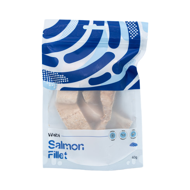 Freeze Dried Salmon Fillet 40g