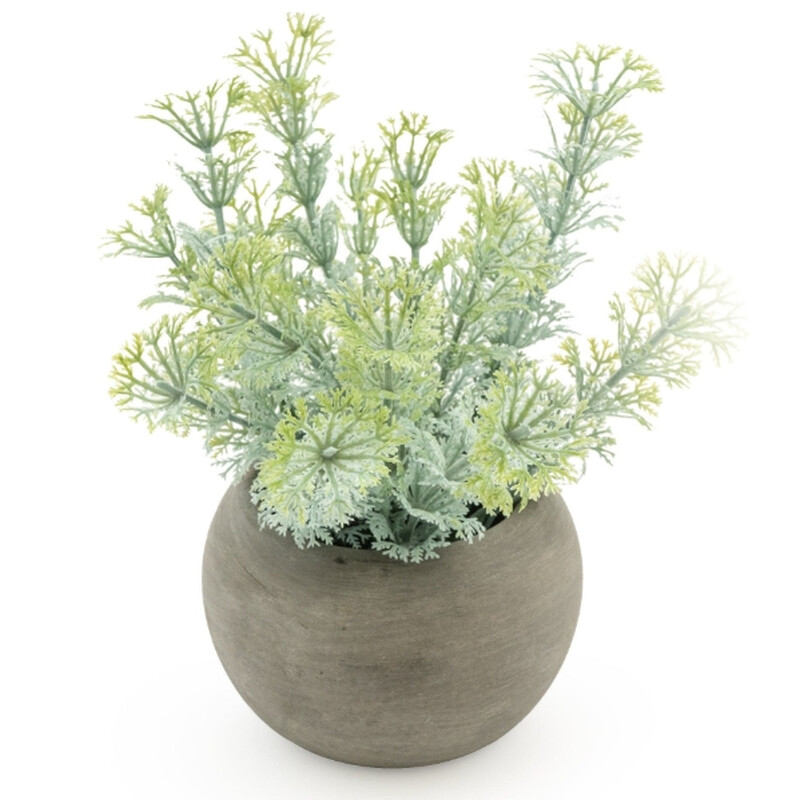 Candlelight Artificial Dwarf Ambulia In Concrete Effect Pot 16Cm