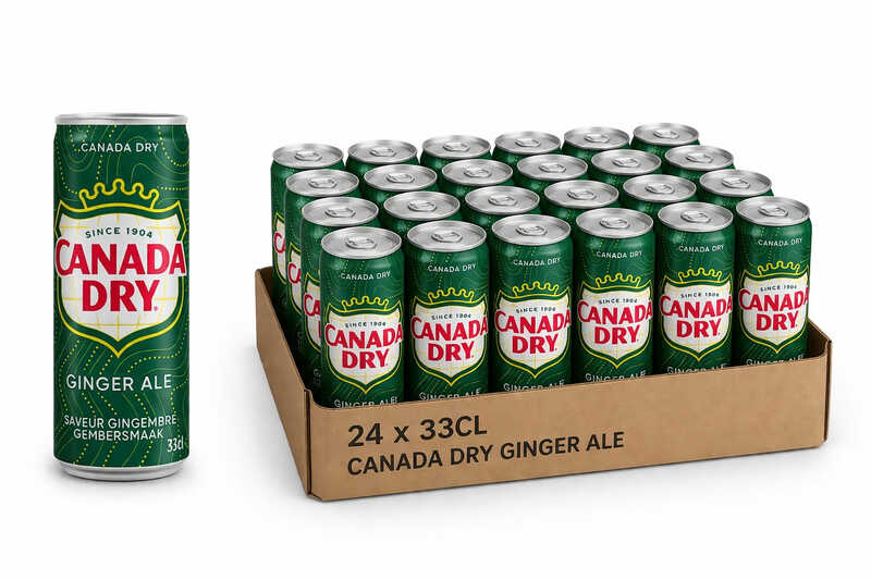 CANADA DRY Pack 24x33cl
