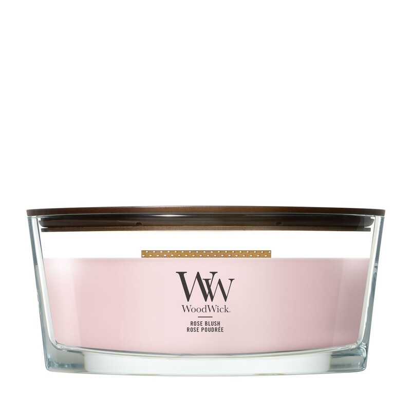 Rose Blush Ellipse by WoodWick