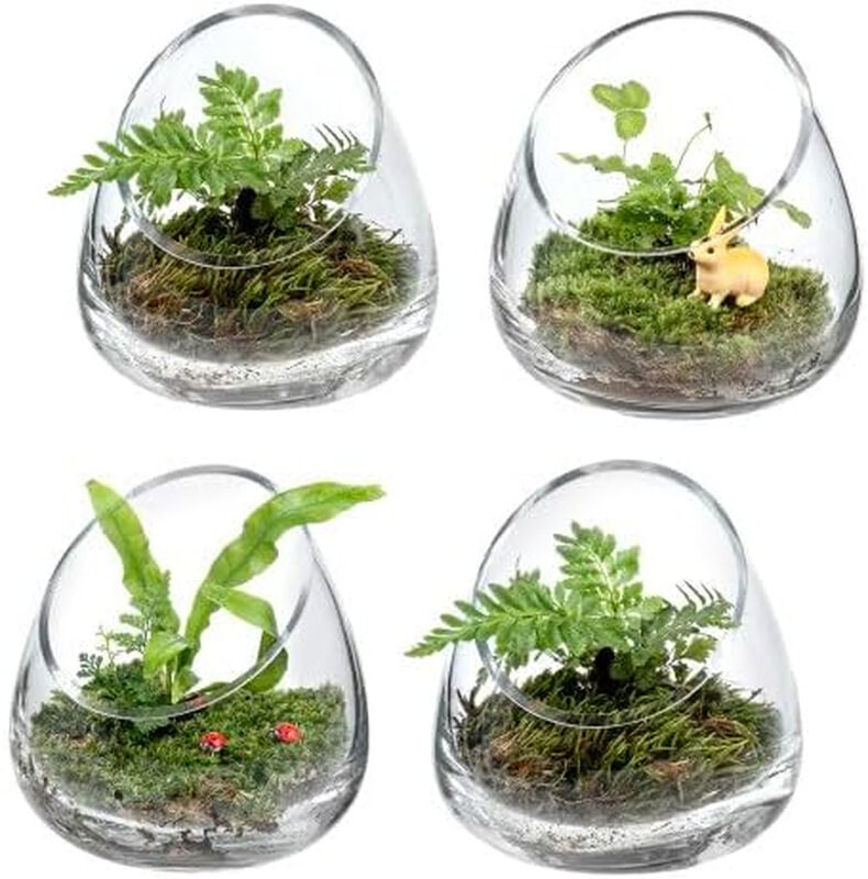 MyGift 12,7 cm Premium Klar Glas Luftpflanzen-Terrarium, Teelicht Kerzenhalter, Sukkulente Kaktuspflanze Vase, 4er-Set