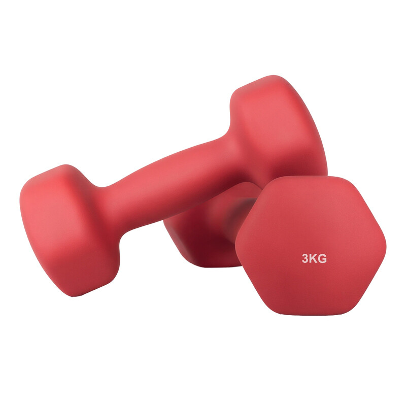 SONGMICSHOME Set of 2 Neoprene Hex Dumbbells, 2 x 3 kg, with Dumbbells Bars, Home Tra