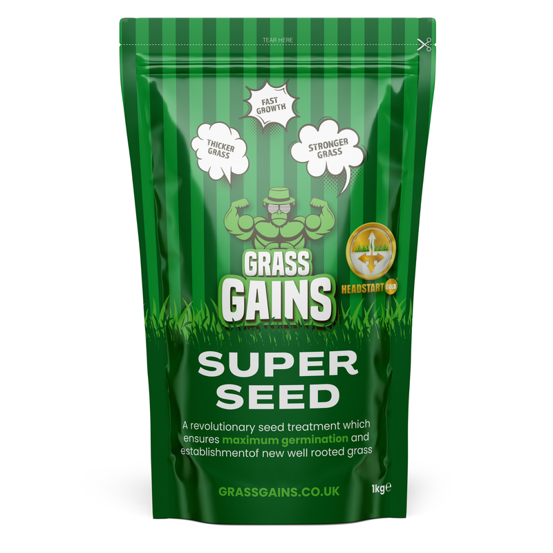 Grass Gains Super Seed, Premium And Fast Growing Lawn Seed, 1Kg