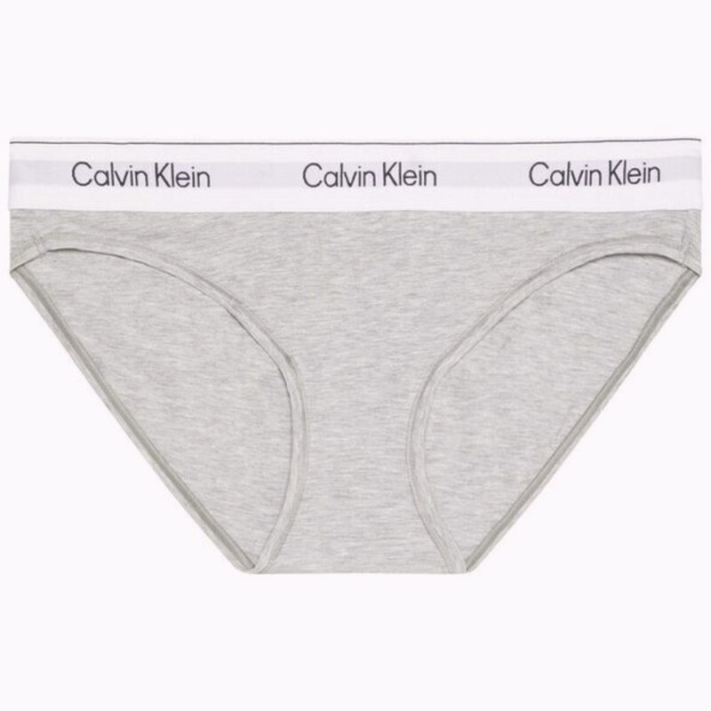 CALVIN KLEIN Bikini Brief Gray 1X