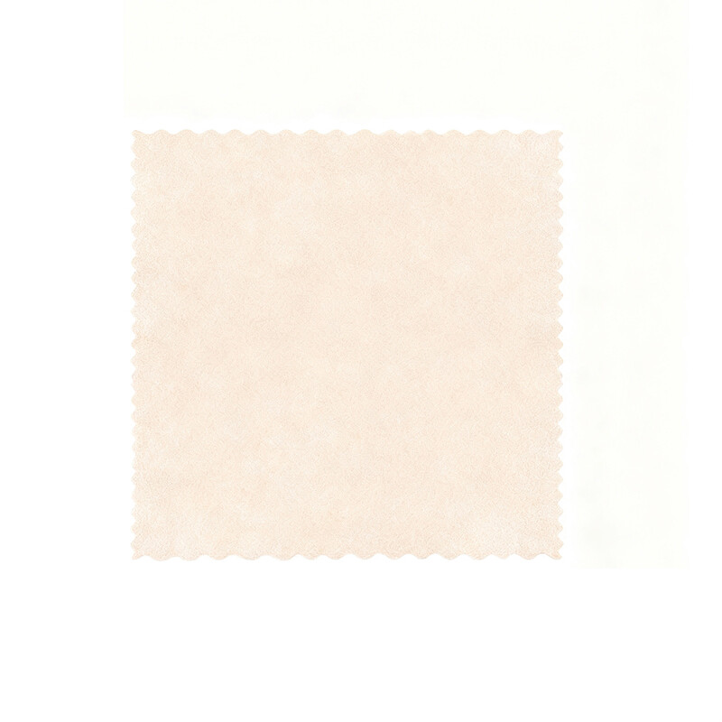 Disposable Loofah Dishcloth (25*25cm) - 20-Piece Pack