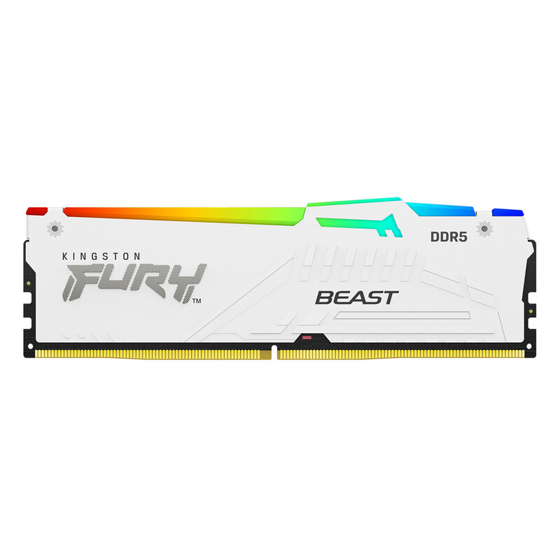 FURY Beast RGB EXPO DDR5 32 GB 6000 MT/s - Weiß