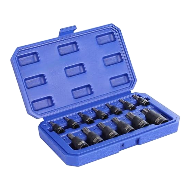 WORKPRO 13-Piece Torx Socket Set, T8-T60 S2 Steel Bits and Chrome Vanadium Steel Sockets 1/4", 3/8" and 1/2", with Storage Box