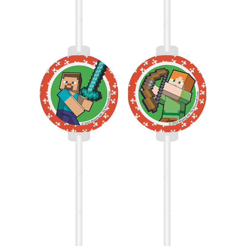 Drinking Straws 4 Pack