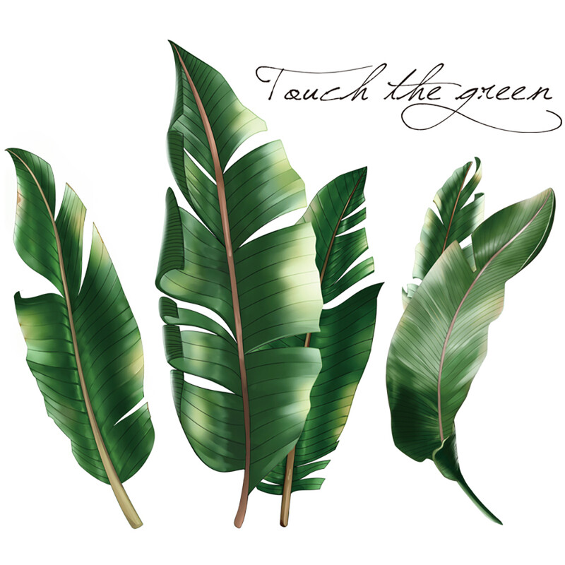 Green Tropical Assorted Leaves Decals Removable PVC Wall Stickers - Living Room Bedro