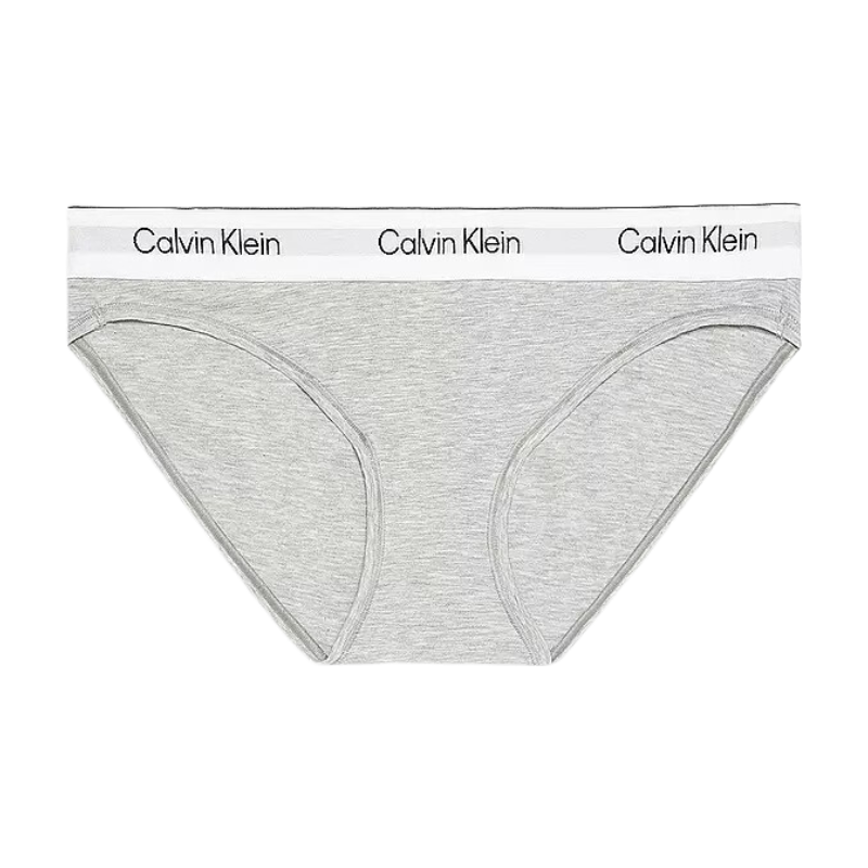 CALVIN KLEIN Bikini Brief Gray 2X