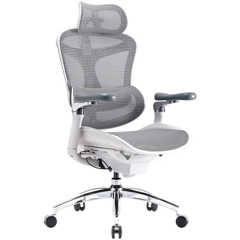 Sihoo Doro C300 Pro Ergonomischer Bürostuhl mit ultraweichen 6D-Armlehnen, dynamischer Lordosenstütze, Sitztiefeverstellung und verstellbarer Rückenlehne – Schreibtischstuhl fürs Homeoffice (Weiß)