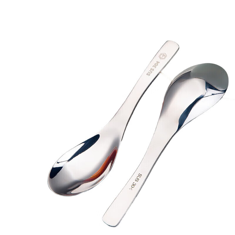 304 Stainless Steel Spoons (Set of 2)