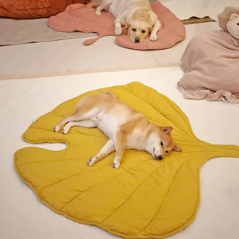 Versatile Leaf-Shaped Dog Blanket - Yellow