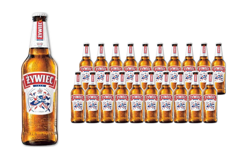 ZYWIEC Bier Fles 20 x 50 cl