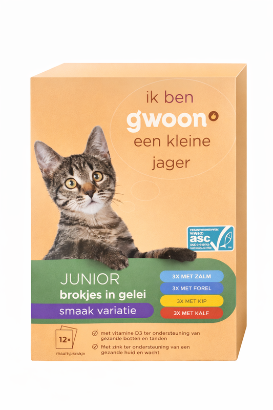 G'woon Brokjes in Gelei Vis en Vlees Variatie Junior 12 x 100 g