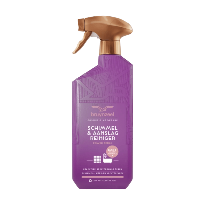 Bruynzeel Schimmel & Aanslag Reiniger Power Spray 500 ml