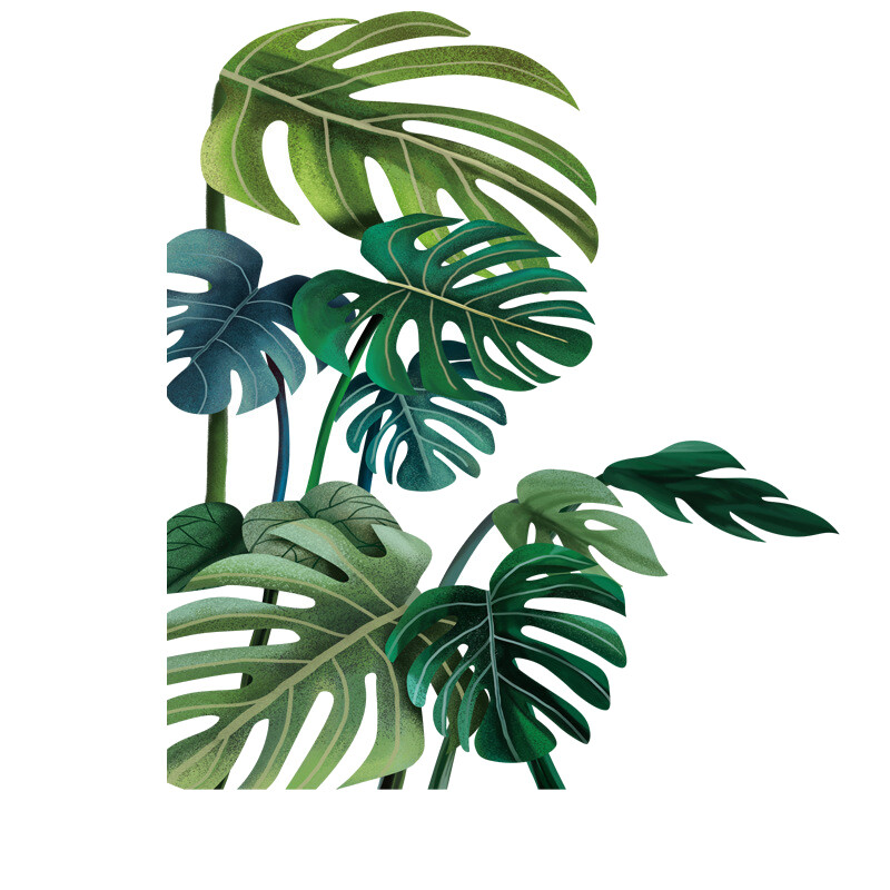 Green Tropical Assorted Leaves Decals Removable PVC Wall Stickers - Living Room Bedro