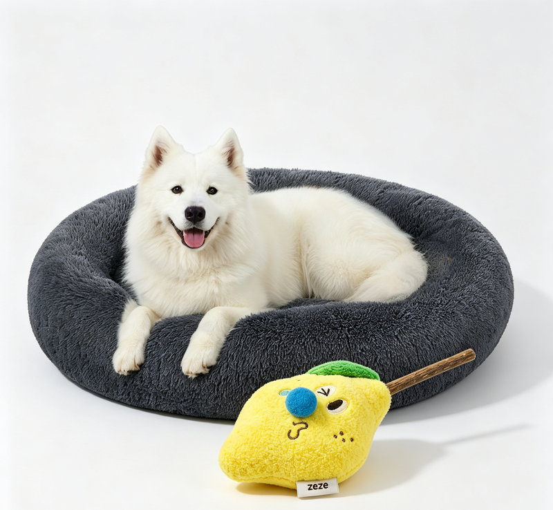 JOYFURNOS Zacht pluche kalmerend hondenbenchbed met afneembare, machinewasbare hoes, donkergrijs, 120 x 20 cm en citroen zilvervine kattenspeelgoed, natuurlijk kauwspeelgoed voor kittens