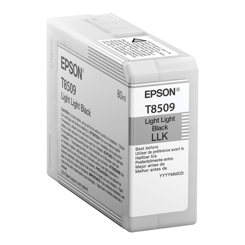 Epson enkelverpakking licht zwart T850900