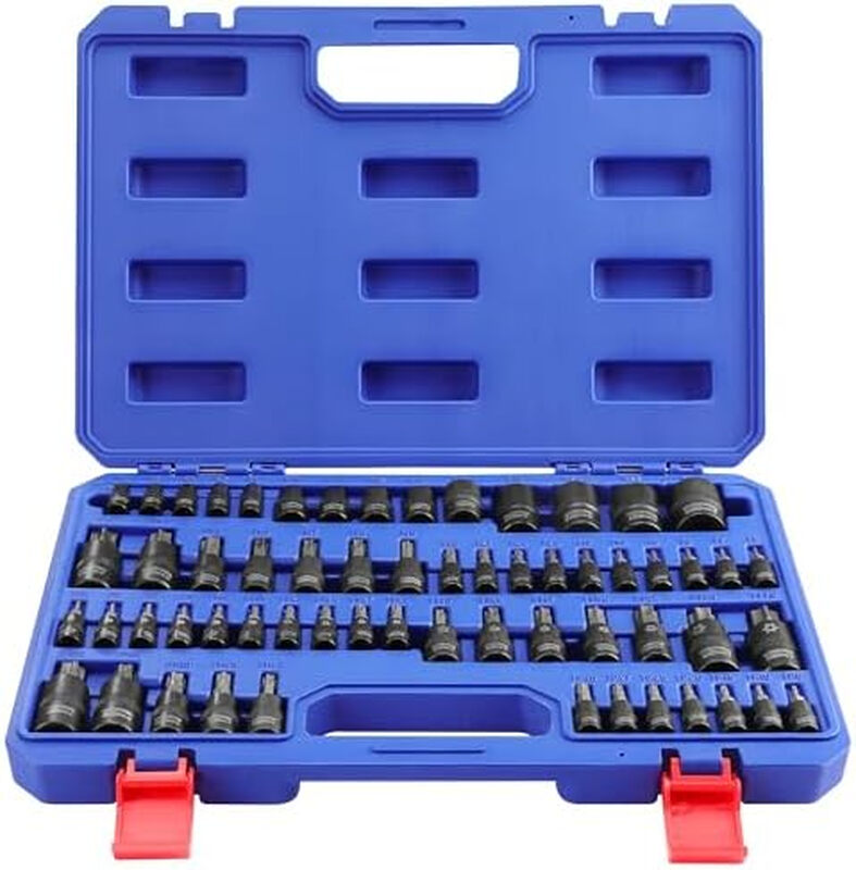 WORKPRO 60-teiliges Master Torx Bit-Sockel-Set, 1/4", 3/8", 1/2" Antriebsbits, E4-E24, T6-T70, TT6-TT70, TP8-TP60, mit verbessertem Aufbewahrungsetui