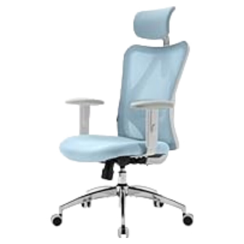 Sihoo M18 ergonomischer Bürostuhl, Computer-Schreibtischstuhl mit verstellbarer Kopfstütze und Lendenstütze, hochlehniger Bürodrehstuhl für das Homeoffice, hellblau