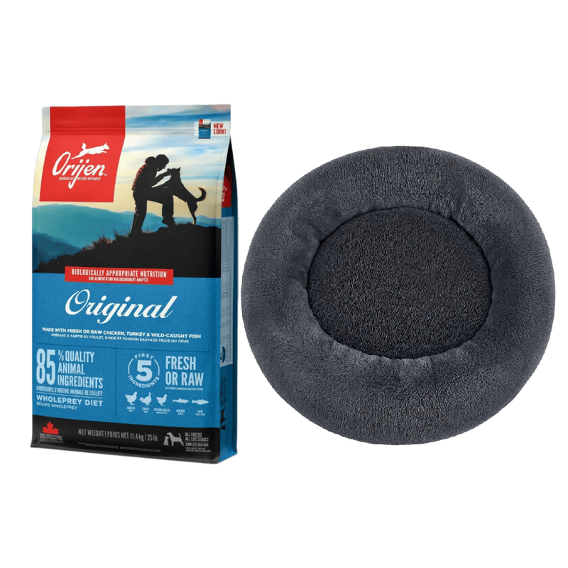 Winter-Energie-Wärmekombination für Hunde