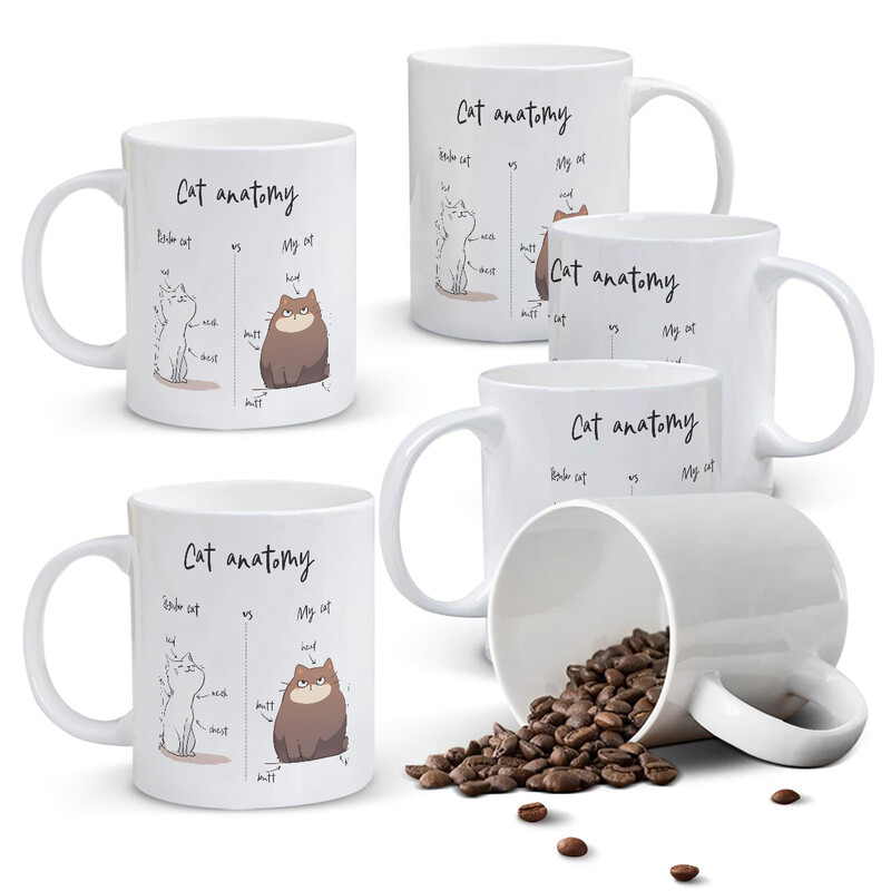1pc 11oz White Mug with "Cat Anatomy" Humorous Comparison Chart of Regular vs Chubby