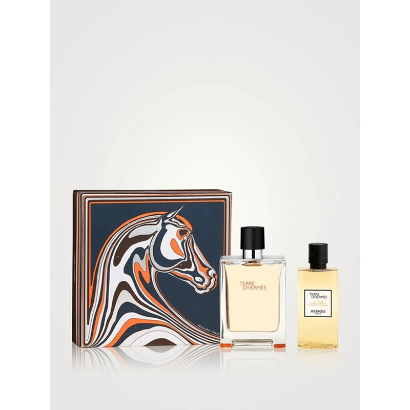 Hermès Terre D’Hermès Eau De Toilette 100 Ml Geschenkset