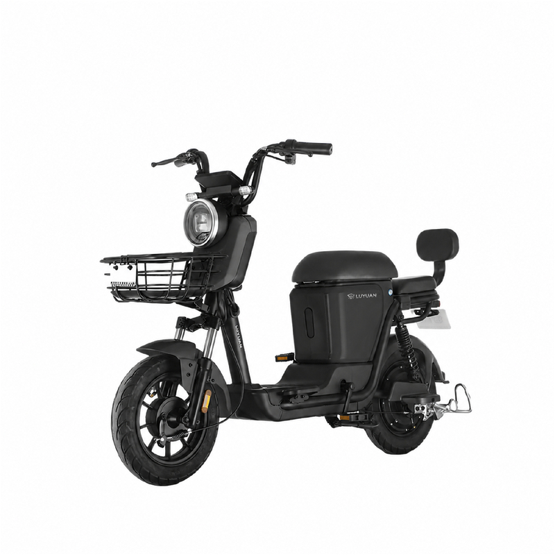 LUYUAN ZFA Nano Elektroscooter, 400 W Motor, 48 V 24 Ah Lithium-Akku, 80–90 km Reichweite, 14" Reifen, L1e-B Straßenzulassung …