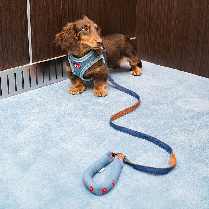 Denim Pet Harness & Leash Set, Adjustable Travel Set (Size M, for 4–7.5 kg pets)