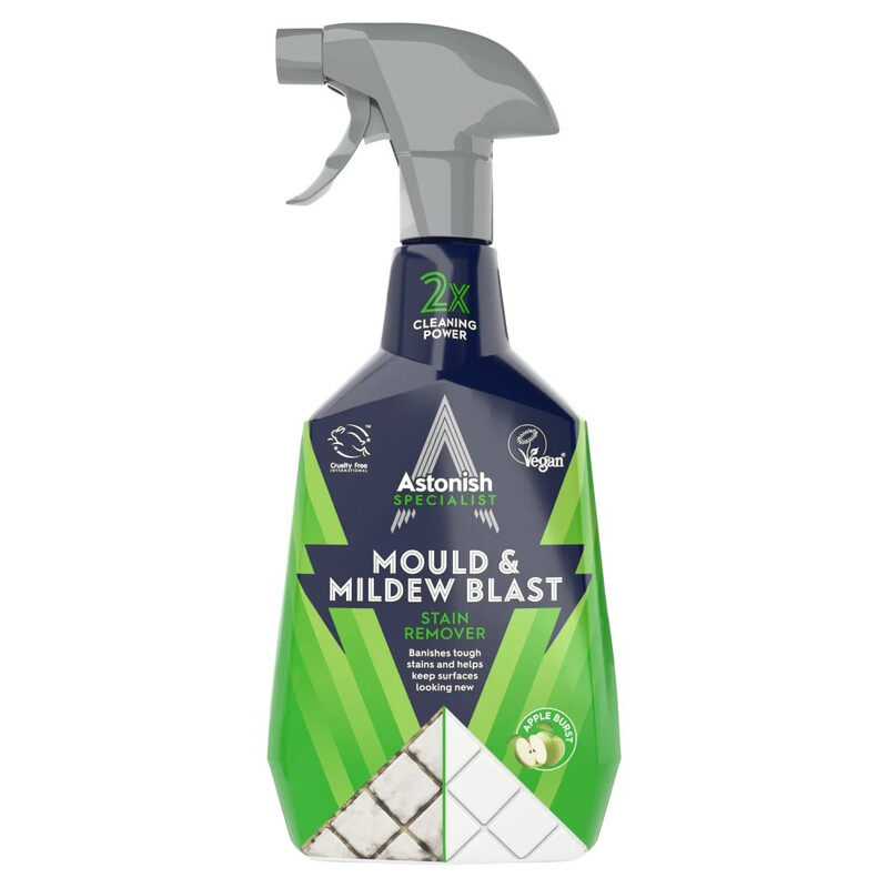 Specialist Mould Blast Stain Remover 750ml