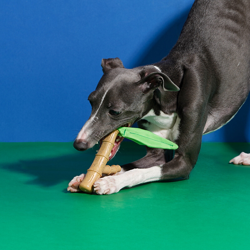 Natural Bamboo Chew Toy, Durable Teething Toy for Puppies Kittens